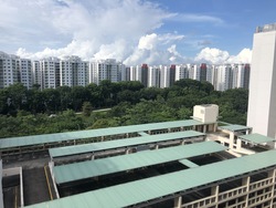 Blk 299C Compassvale Street (Sengkang), HDB Executive #246297911